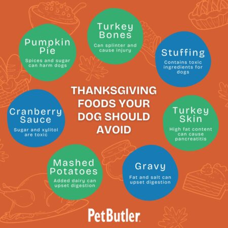 Pet Butler November 2024 Smm