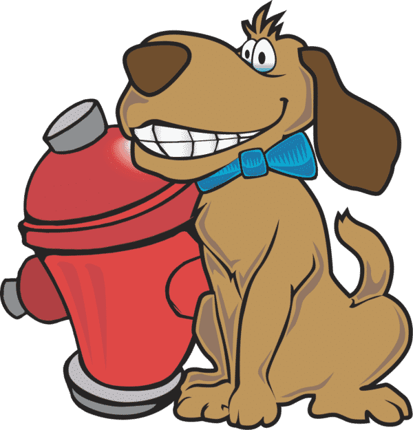 3 Essential Potty Training Tips For Dogs With Images Potty Training Puppy Potty Training Tips