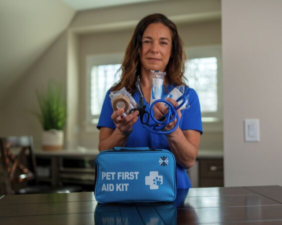 Vet holding first aid items