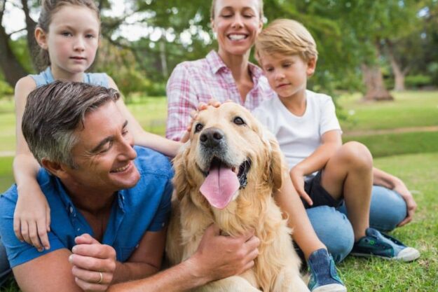 Picking your family dog