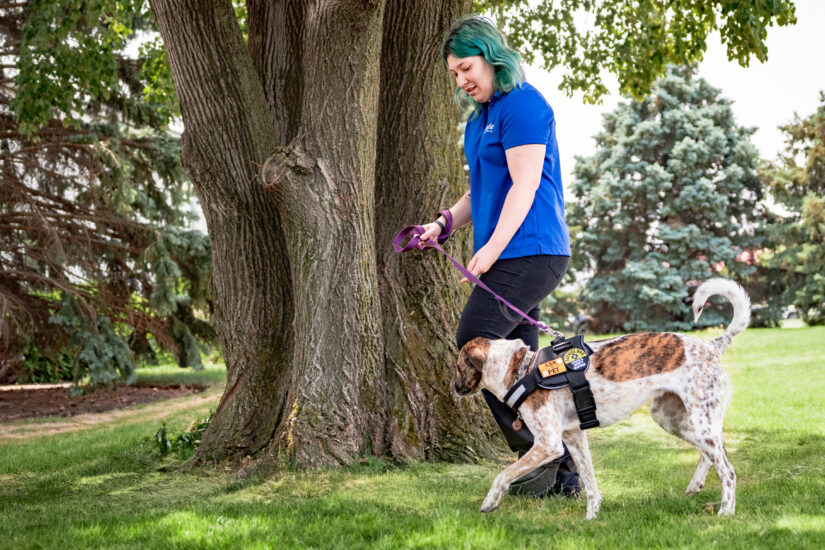 Pet Butler Smyrna GA local employee walking a service dog across a green lawn on a sunny day. Dog Walking - Pet Care Services - Dog Walker - Pet Sitting - Pet Sitter