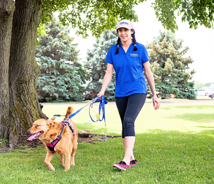 Jordan Dalton, owner of Pet Butler of Longmont, provided top-notch pet care.