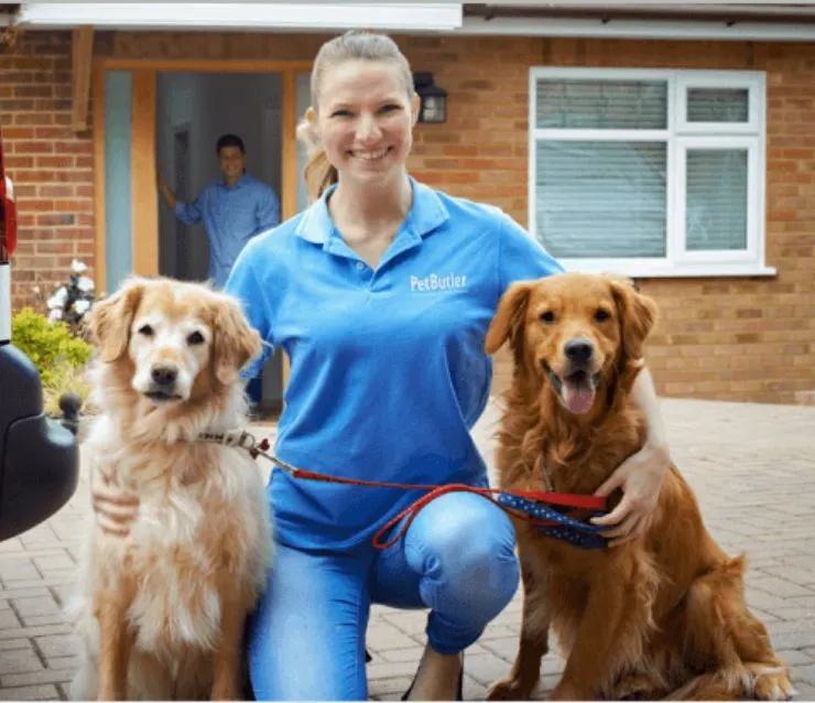 Smiling blonde haired Pet Butler professional wearing a blue Pet Butler polo shirt kneeling in between two golden retrievers on a driveway.
