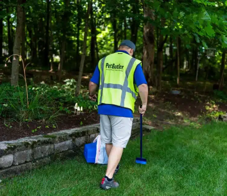 A Pet Butler professional wearing a blue polo shirt and yellow vest using a rake and bucket to remove pet waste from a backyard.