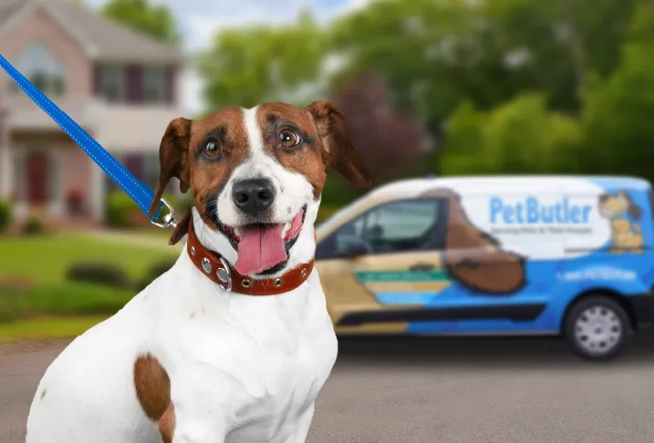 Pet transportation services orders near me