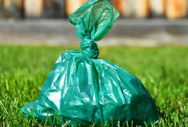 Small green plastic bag tied closed with a knot sitting on the grass.