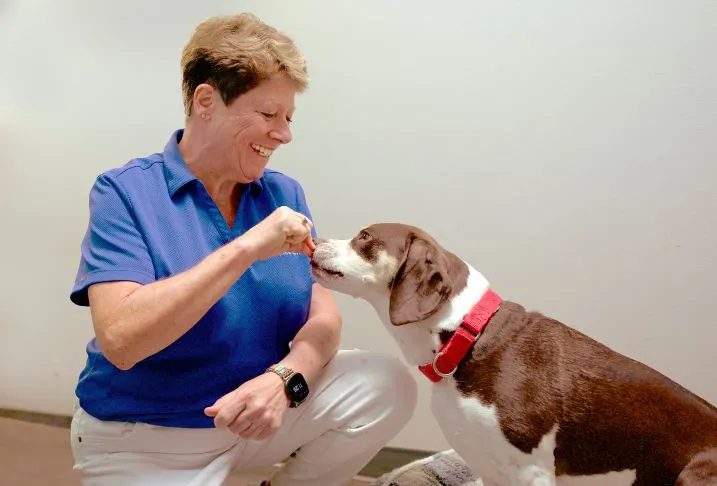 A smiling Pet Butler pet care professional wearing a blue polo shirt kneeling down to feed a brown and white dog.