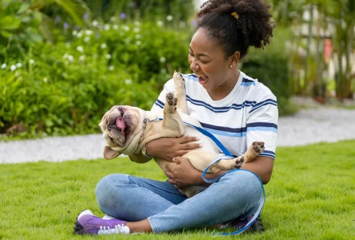 A woman sitting on the grass laughing while looking at the small brown dog she is holding.