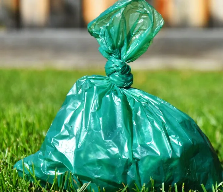 Small green plastic bag tied closed with a know sitting on the grass.