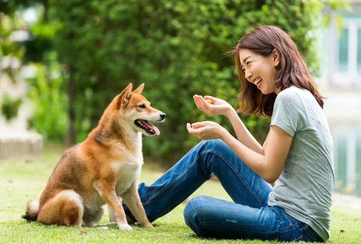 A young woman sitting on the grass laughing while facing a small brown dog.