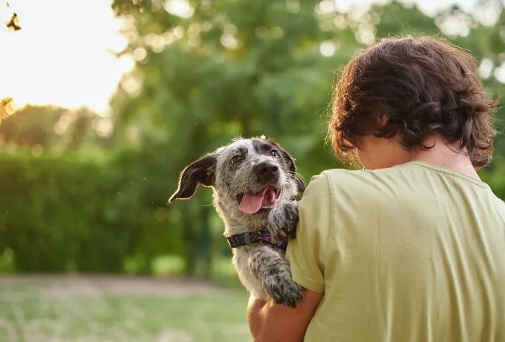 The back of a young person in a yellow t-shirt holding a small brown and white dog looking over the person's shoulder.